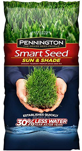 Pennington 100086838 Smart Seed Sun and Shade North Premium Grass Seed Blend, 3-Pound