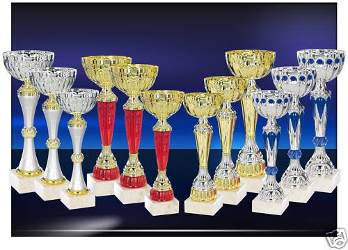 Lot de 12 Coupes trophées recompenses Entre 22 et 27 cm
