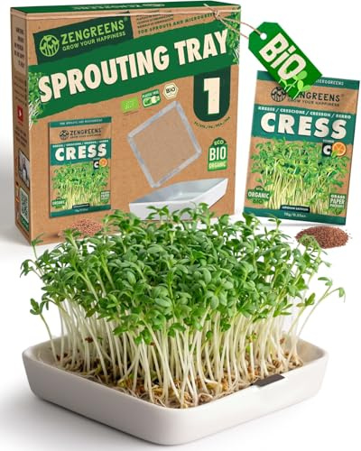zengreens® Vassoio per germogli bio - Set da 1 - Germogliatore con rete - Include vaschetta e semi (crescione)