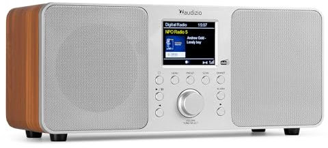 Audizio Genua DAB Radio mit Bluetooth – Stereo DAB Plus Radio mit Fernbedienung, 60 Speicherplätze, Auto Scan, Line-Out, USB, Ideal für Zuhause und Unterwegs, Einfache Bedienung - Silber