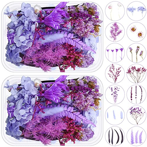 Woanger 2 Boxes Dried Purple Flowers Dried Flower for Resin Crafts Real Natural Leaves Petals 13 Types Pressed Flowers for DIY Candle Nails Making Jewelry Scrapbooking Soap Wedding Home Decor