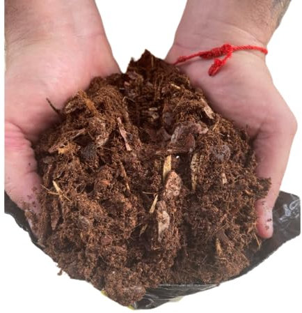 Corteza de Pino para Orquídeas 5 Litros de Sustrato Especial para Flores Tropicales