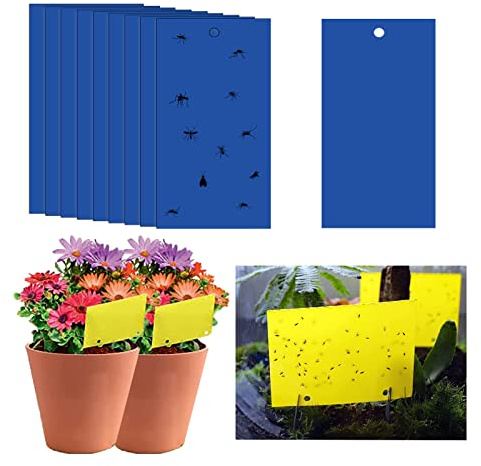 20 st klibbiga flugfällor, 20 x 30 cm blå flugpappersklistermärken, blå klistermärke skyddsväxt, klibbig flugfångare dubbelsidig för insekts- mot svampgnat, vitflugor, bladlöss