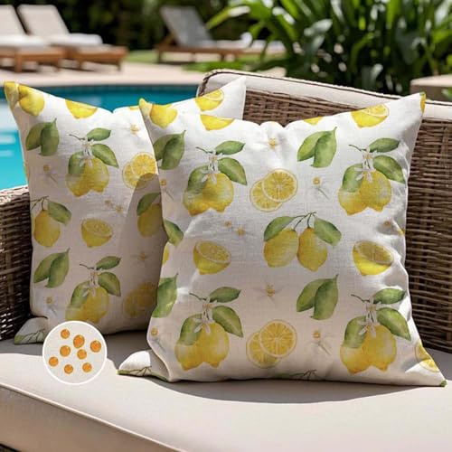 Jayusaror Fundas de Cojine 45x45 Exterior Impermeable con Diseño de Limón Amarillo Moderno Cuadrada Decorativos Primavera Verano Sofa Fundas de Almohada para Sofá Jardín Balcón Decoración Juego de 2