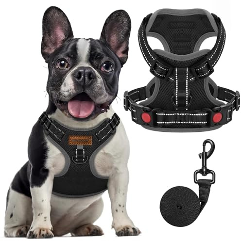 FAYOGOO Hundegeschirr, Kein Choke Front Clip Hund Reflektierendes Geschirr, No-Pull Verstellbare Weiche Gepolsterte Haustier Weste Set für kleine Mittlere Große Hunde Gehen (Schwarz, M)