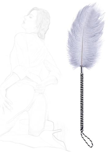 HTdangT Plume Chatouilleuse Sexe Flirt Érotique Caresses Ami Corps Bouffée Choyer Massage SM Bondage Contraintes Fétichisme Chatouillement Plumes Tentation BDSM Jouet Sexuel