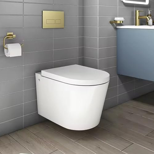 Robanmoa Rimless Wall Hung Toilet WC Short Projection Toilet Pan White Ceramic Bathroom Toilets Pan Quick Release Soft Close Seat Modern Back to Wall Mounted Compact Toilets