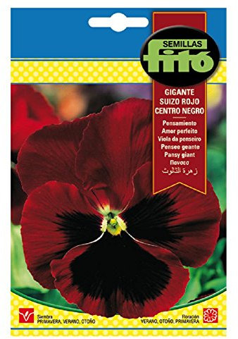 Semillas Fitó 3128 - Semillas de Pensamiento Gigante Suizo Rojo Centro Negro
