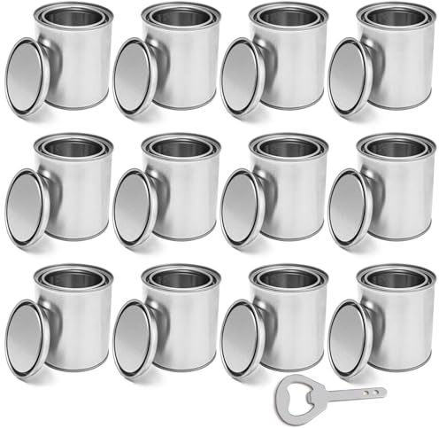 12 Pack Empty Paint Cans with Lids 0.8 Pint Tin Unlined Paint Buckets Bulk Paint Storage Containers, Quart Metal Unlined Paint Pails for Crafts DIY Projects, Storage, Painting