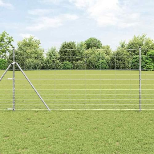 Recinzione a bastoncini, recinto in argento, 50 x 1,2 m, in acciaio zincato per giardino, recinzione di sicurezza