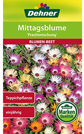 Dehner Blomfrön, lunchblomma praktblandning, 5-pack (5 x 0,8 g)
