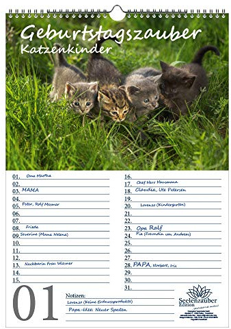 Födelsedagsplanerare Födelsedagskalender Kattbarn Magi Din A3 Kalender Kattbarn Kattunge - Själsmagi