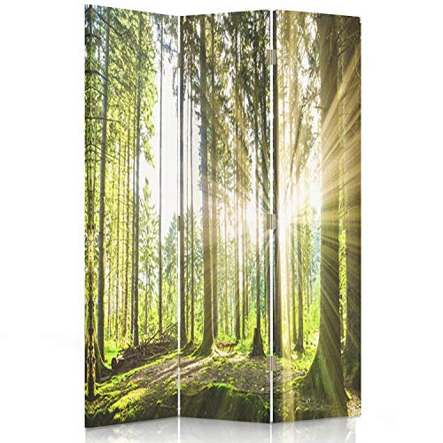 Feeby Paravent Wald Baum Sonne Natur 110x150 cm 3 Teilig Modern Design beidseitig Raumteiler Wandschirme Foto Trennwand Raumtrenner Sichtschutz Spanische Wand auf Leinwand Bedruckt Landschaft Grün