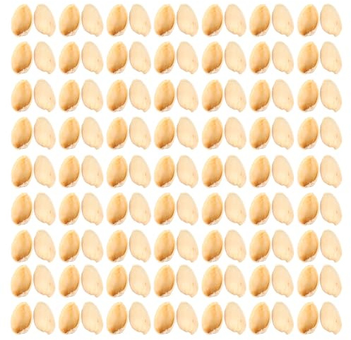 Toyvian Paquet de Fournitures Artisanales en Coquilles de Pistache pour Loisirs Créatifs, Matériel DIY Non Décolorant, pour Garçon et Filles et Adultes,