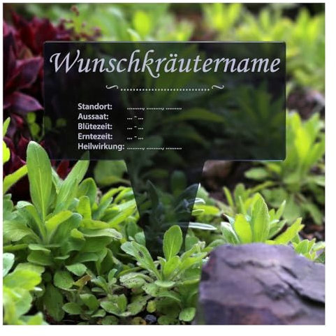 Verre acrylique Jardinière rectangulaire gris transparent – Jardin de table, herbes plante, mâle – Sélection Johanniskraut