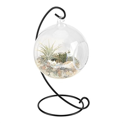 FOSA Vase en Verre pour Les Plantes et Fleurs, Boule Pot Suspendu avec Support Cadre en Fer