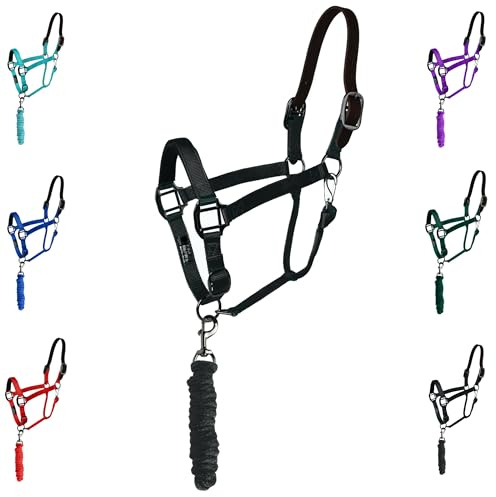 Majestic Ally Leather HeadCollar Halter with Matching Lead Rope for Horses – Leather Breakaway Crown - Adjustable Chin Strap – Rolled Throat Latch – Padded Noseband – Full (Black-Full)