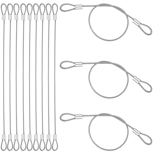 12 Pack Steel Cable with Loops, Stainless Security Cable Safety Cable Wire Chain for Outdoor Gate Luggage Lock, 2mm Thickness 12 Inch Length