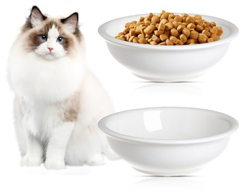 SUNOYA NomeDiMarca Ciotola in Ceramica Rialzata: 2 Pezzi Ciotola Elegante per Gatto, Ciotola Antiscivolo, per Casa (Bianca/360ml)