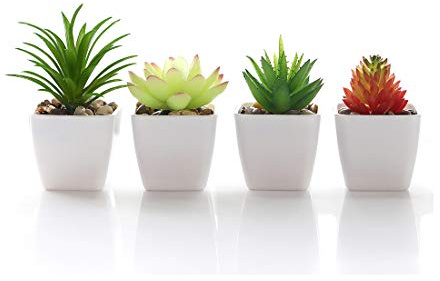 Veryhome Künstliche Sukkulente Gefälschte Pflanze Topfpflanze Mini Platz Weiß Blumentopf Zimmer Familie Garten Innen Dekoration Grün