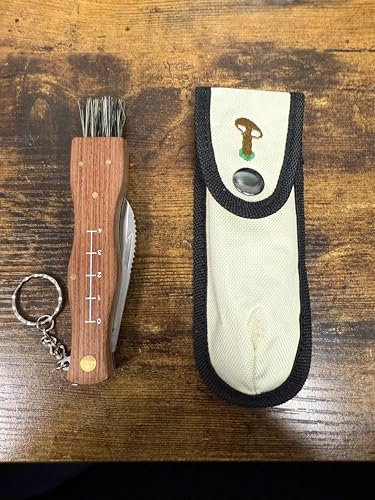 Générique Couteau pour champignons avec brosse et etui