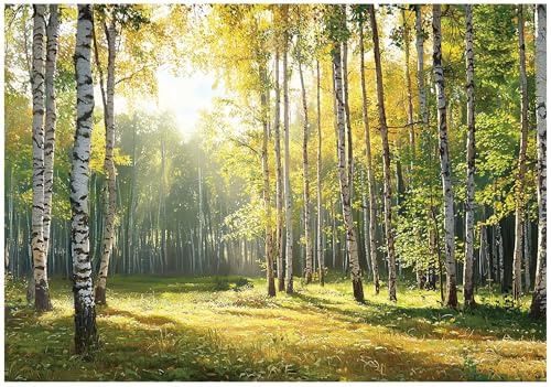 WallArena Non-Woven Fototapet Boho fjädrar – 350x250 cm – Fototapet 3D Effekt För Vardagsrum Och Sovrum – Modern Väggtapet I Vlies, Inkl. Lim – beige vit naturfärgad