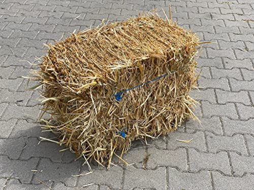 Generisch Strohballen Stroh Haferstroh Miniballen Deko & Eintreu für Kleintiere (ca. 12kg)