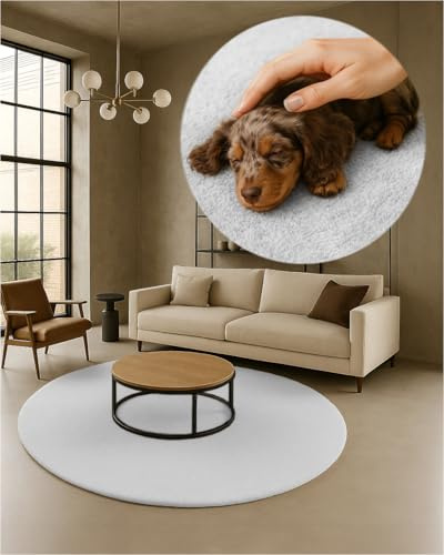 TEXMAXX Weicher Kurzflor Teppich Wohnzimmer mit rutschhemmender Rückseite (100 x 100 cm Rund) - Modern für Flur, Esszimmer und als Schlafzimmer Teppich in Weiß - Waschbar bis 30 Grad