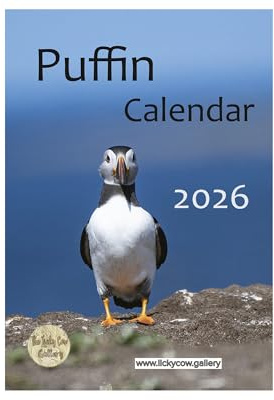 Puffin Wall Calendar 2026 by photographer Toni Cross. A4 spiral bound with hanger.
