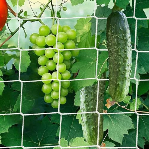 LAKPYN Red para Plantas Rampicantes, 1.67 * 5M Red para Rampicantes y Hortalizas de Jardín, Red de Apoyo para Plantas, Cetriolos, Pomodores, Fajos, Flores, Hortalizas y Frutas