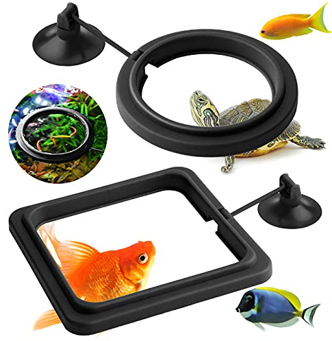 Molain Anillo de alimentación de Peces, 2 Piezas de alimentador de Peces de Acuario, Accesorios para Tanque de Tortuga comedero de Alimentos para Guppy Bettas pez Dorado Tortuga (Negro)