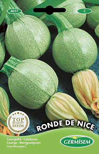 Courgette Ronde de Nice Semi di Zucchine 3 g