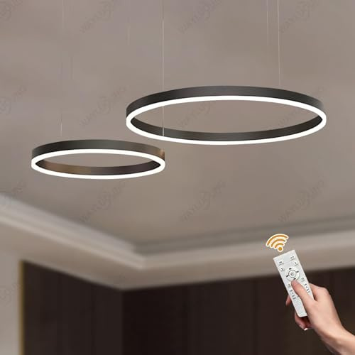 WayLuoung LED Lampadario Metallo | 2 Cerchi 40+60cm | 40W Lampada Sospensione Soffitto Anelli, Telecomando Dimmerabile 3000-6000K, Lampada Sospensione Paralume Acrilico Soggiorno Camera Letto【Nero】