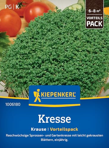 Kiepenkerl Kressesamen Krause 1006180 - Raschwüchsige Sprossen- und Gartenkresse, Kräutersamen für schnelle Ernten, Vorteilspack für frische Salate und gesunde Snacks