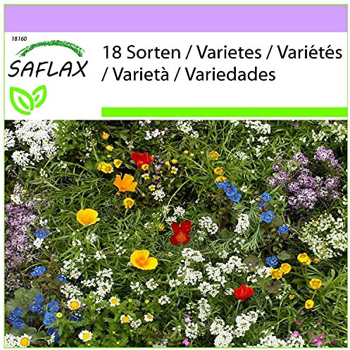SAFLAX - Enanos de jardín pequeños - 1000 semillas - 18 Wildflower Mix