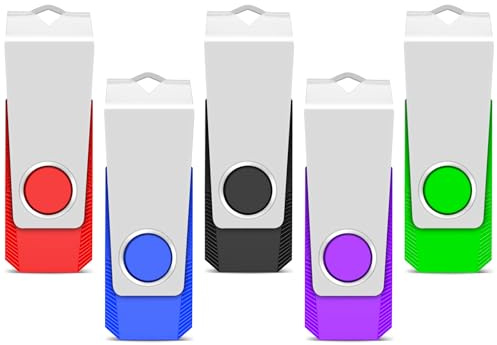 TEWENE Memory Stick 4GB USB Stick 2.0 Flash Drive 5-Pack, Thumb Drive, USB Storage with Key Ring and Sticker for Computers, Cars and TVs