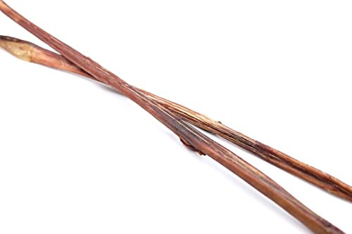 BREERs Getrocknete Ochsenziemer 80-90 cm für Hunde 1 Stück eigene deutsche Herstellung | Hundeleckerli Kaustange Hundesnack für große, kleine Hunde & Welpen | Kauartikel reinigt und stärkt das Gebiss