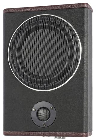 HOARLICN Subwoofer Auto, Aktiv Subwoofer für Auto 600w Rechteckig Gehäuse Aus Pu-Holz 40-200hz Und Bassverstärkung 0-12db mit 12v Positive Wire Rem Control Wire Gnd Negative Wire für LKW Jeep