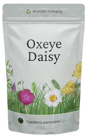 Oxeye Daisy Seeds - Wild Flowers Seeds UK - Thousands of Seeds to Scatter - Garden Lawncare Guy (20, Grams)