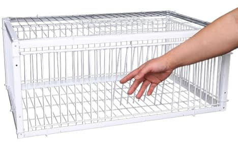 Trappola per uccelli, a prova di, design automatico a 4 porte, struttura in filo di ferro facile da pulire, cattura all'aperto per pappagalli, 40 x 30 x 26 cm