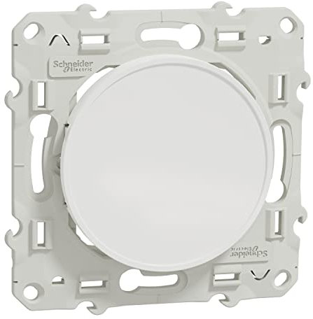 Schneider Electric S520666 Tapa Ciega, Blanco
