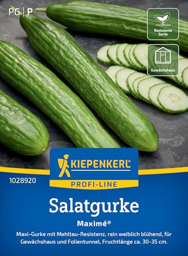 Kiepenkerl Profi-Line Salatgurkensamen Maximé 1028920 - Dunkelgrüne, kernarme Gurken, resistente Gurkensamen, frisch und aromatisch für Salate