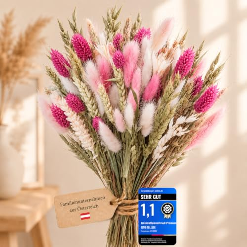 TIME4FLEUR torkade blommor handbundna – premium dekorativa blommor från Europa – ädla torkade blommor – torkad bukett för bordsdekoration, vardagsrum, som present (rosa whisper, L)