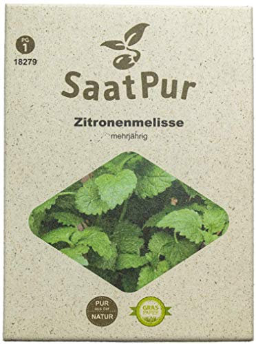 SaatPur Zitronenmelisse Samen, Saatgut für ca. 250 Pflanzen