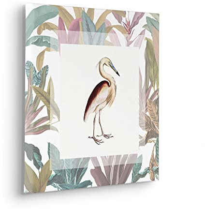 Komar Uncommon Bird Stretcher Frame Picture in Real Wood Frame Size 40 x 40 cm