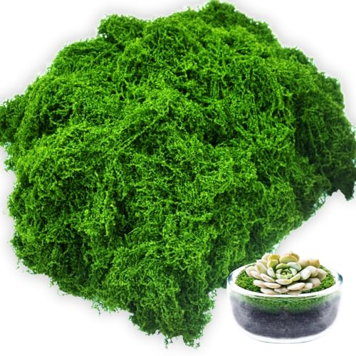 Ezitruz 300 g Fake Moss, Artificial Moss Dark Green for Decorating Indoor Plant Pots Crafts Landscaping Garden Model Making Wall Decor
