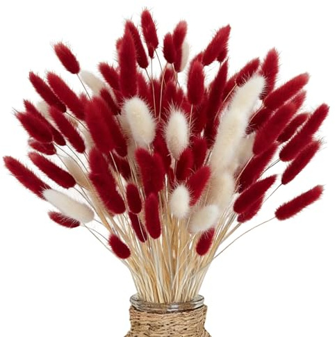 66 pezzi di decorazioni per erba della pampa, bouquet di erba della pampa, naturalmente essiccati, per matrimoni, bouquet da tavolo rustico, per feste di fattoria, baby shower (rosso e bianco)