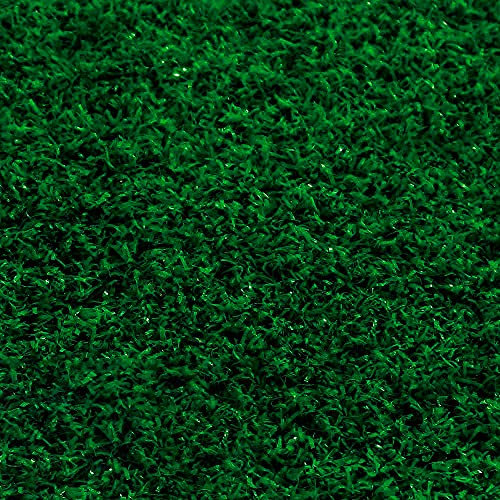 Papillon 55451, Prato Erba Sintetica Verde In Polipropilene, Rotolo Da 1x10 m