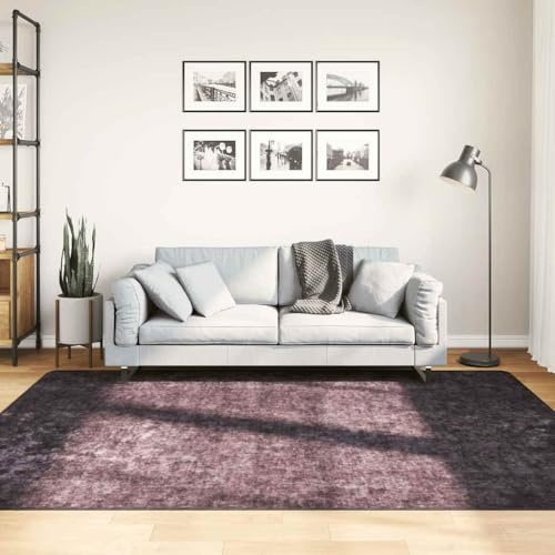 Tonture Tvättbar matta 160 x 230 cm, antracit halkfri, mjuk sammet polyester golvskydd för vardagsrum sovrum, lättskött ljuddämpande hallmatta dekoration, antibakteriell