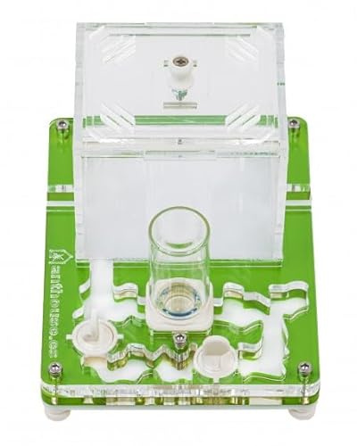 Kit Educativo de Hormigas Anthouse con Reina Incluida – Hormiguero Acrílico Profesional 10 x 12x 1,3 cm para Niños y Principiantes | Granja de Hormigas para Observación y Aprendizaje (Verde)